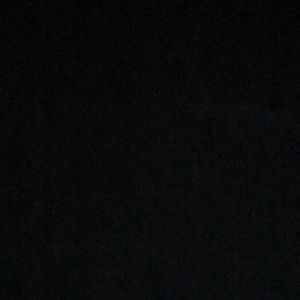 Meet your Posher, Leela